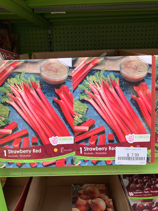 Rhubarb -bare root