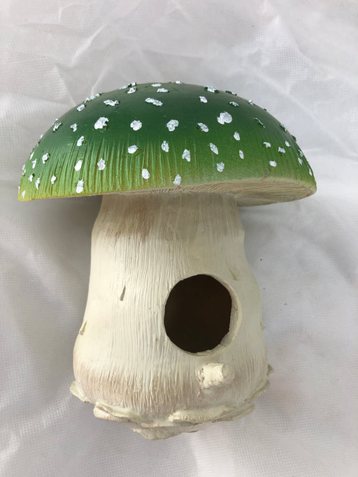 Birdhouse Mushroom