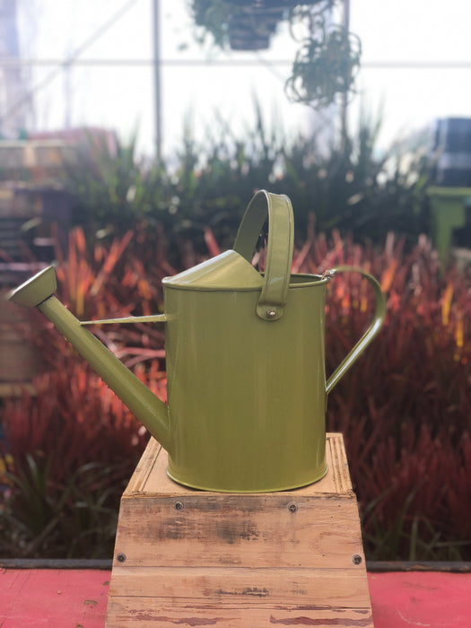 Watering Can