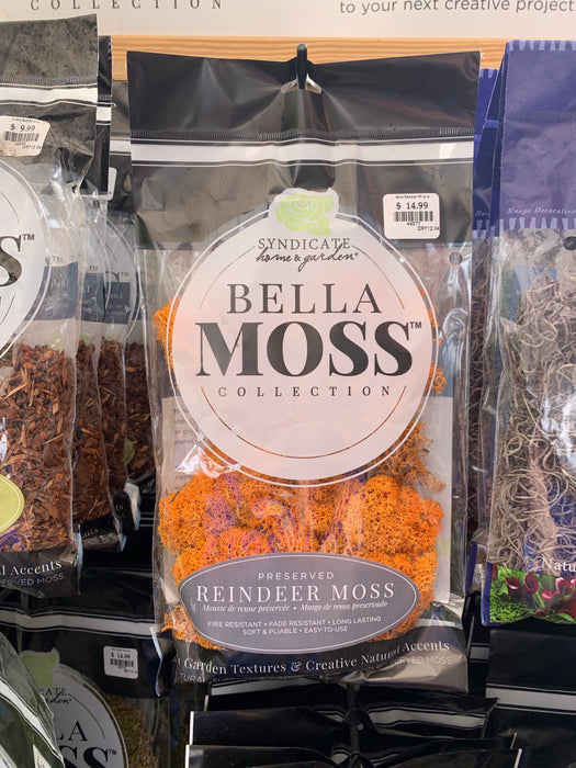 Moss - Bagged