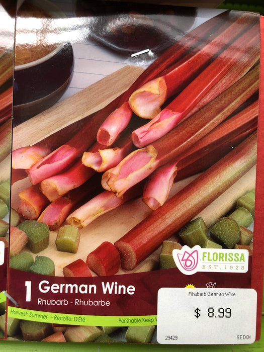 Rhubarb -bare root