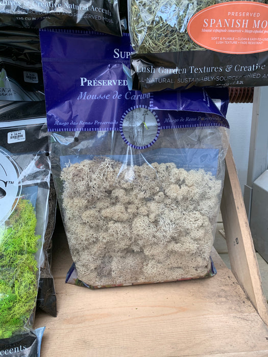 Moss - Bagged