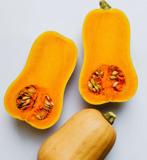 Squash Seeds - Seed Packet