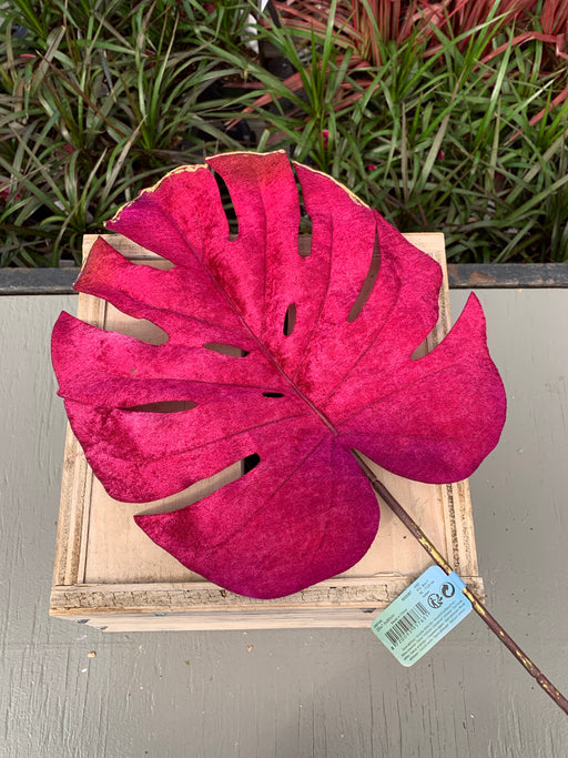 Artificial leaf