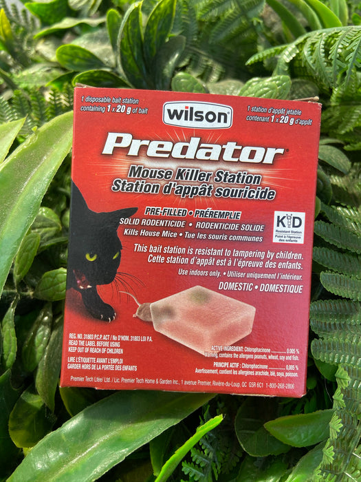 Wilson Predator Rat & Mouse control