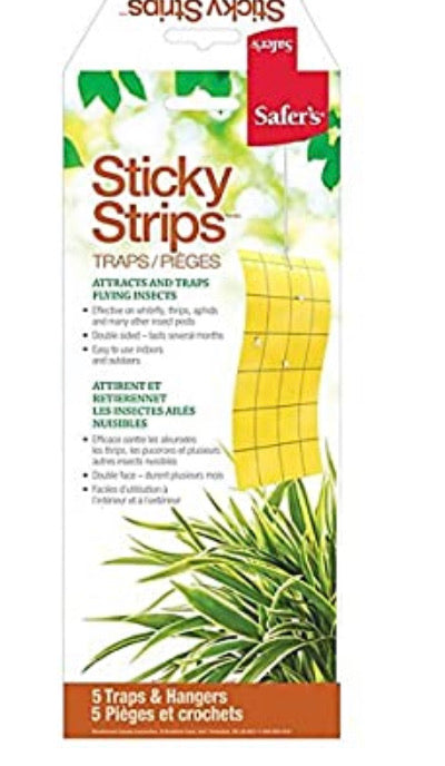 Safers  Sticky Strips