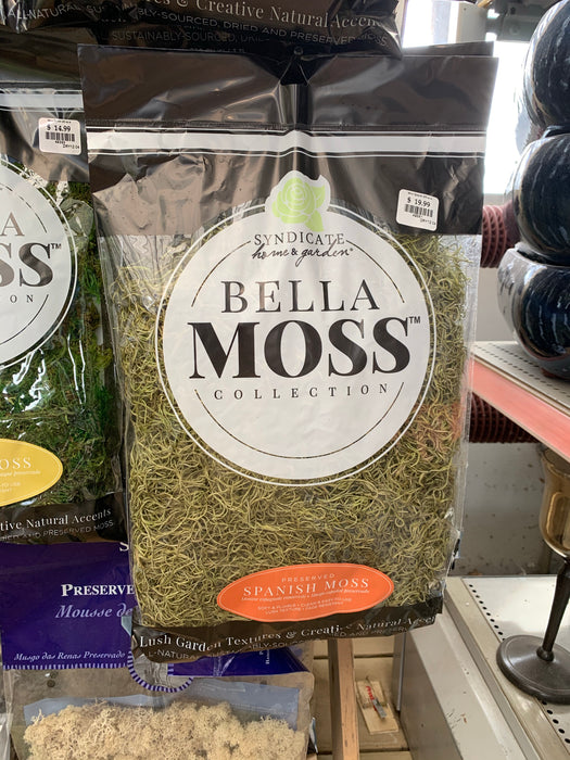 Moss - Bagged