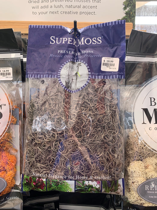 Moss - Bagged