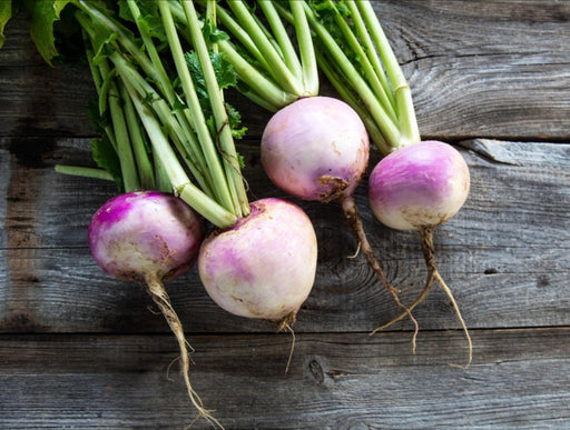 Turnip Seeds - Seed Packets