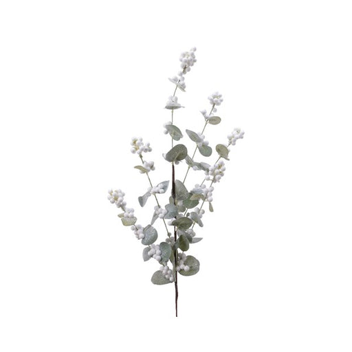 Spray - Berries
