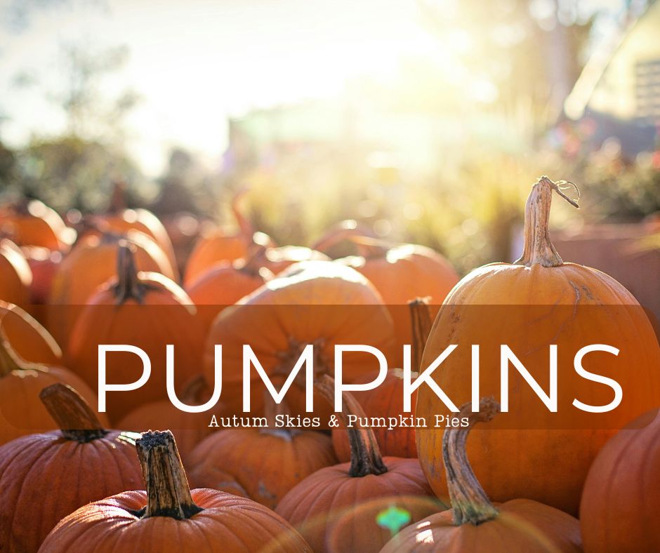 Pumpkins