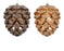 Orn Pine Cone Natural 14cm
