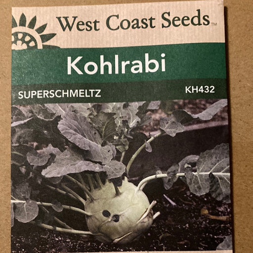 Seed Kohlrabi Superschmeltz WC