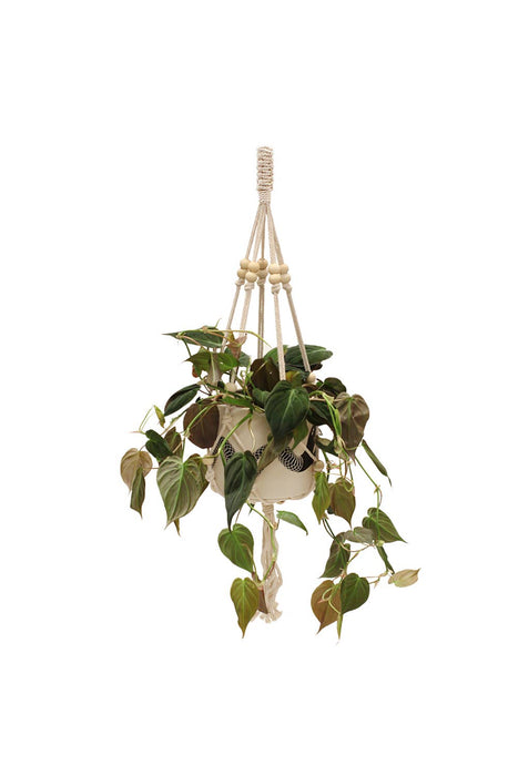 36" Beaded Plant Hanger Macrame
