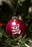 Baby Jane | Ornament |  Pink Glitter | Plastic |