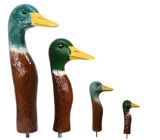 Mallards