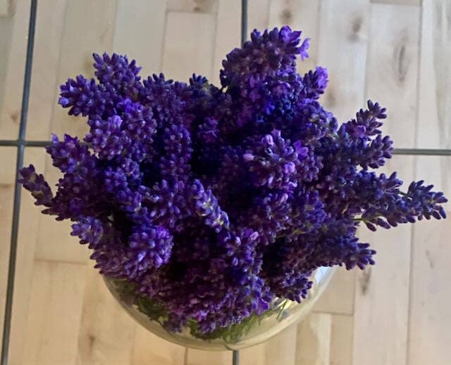Dried English Lavender Bouquets - Deep Purple