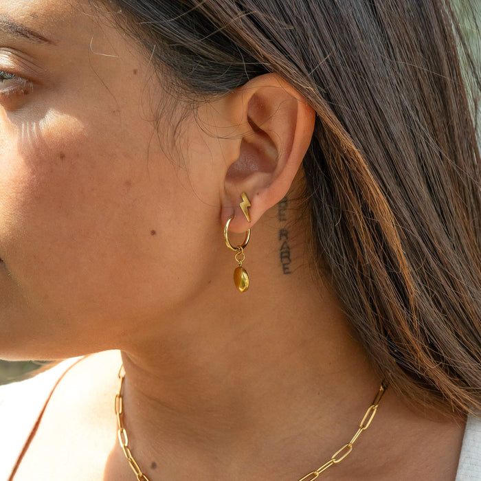 18K Gold PVD Stainless Steel Coin Pendant Huggie Earrings