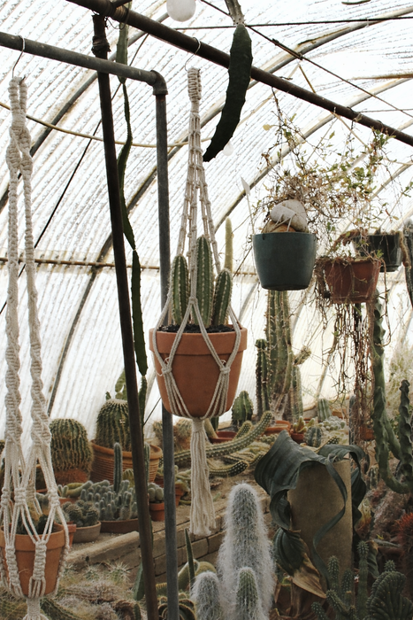 Original Plant Hanger: 44" long