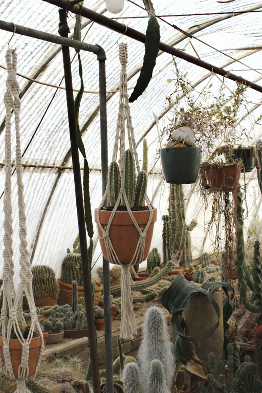 Original Plant Hanger: 44" long