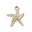 Starfish Charm
