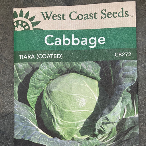 Seed WC Cabbage Tiara