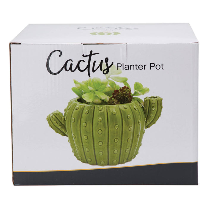 Cactus Flower Pot