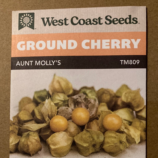 Seed WC Ground Cherry Tomatillo Aunt Molly's