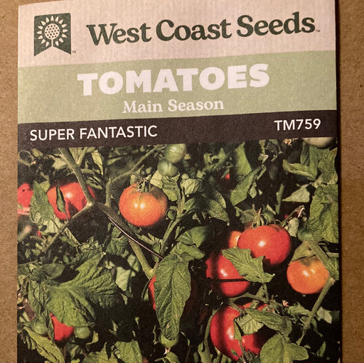 Seed WC Tomatoes Super Fantastic