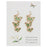 Butterfly Flock Dried Flower Gold Earrings