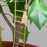 Tiny Treehouse for your plants