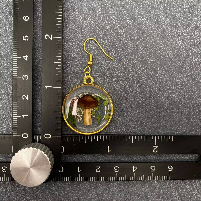 Dried Flowers & Mushroom Round Dangle Earrings