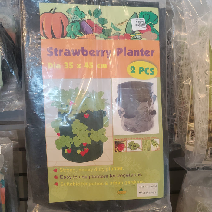 Strawberry Planter