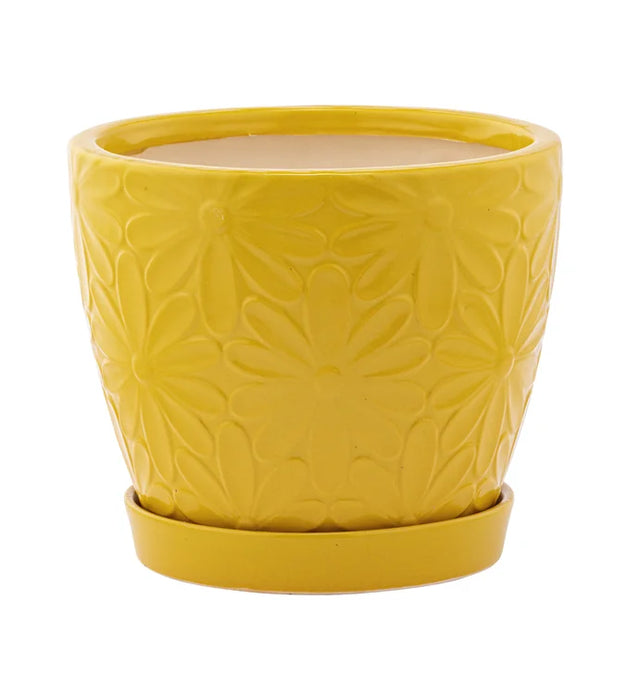 Pot with Saucer 6" Yellow Embossed Daisy