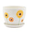 Pot with Saucer Large White Sunflower