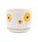 Pot with Saucer Medium White Sunflower