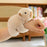 8" Capybara/Monkey Plush Bracelet/Wristband