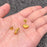 Shell Heart 18K Gold Plated Stainless Steel Ear Studs - FGS