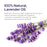 Lavender Essential Oil | Therapeutic Grade | 4oz (120ml)