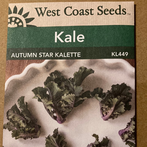 Seed WC Kale Autumn Star K'tte