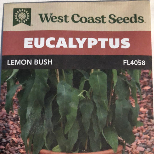 Seed WC Eucalyptus lemon Bush