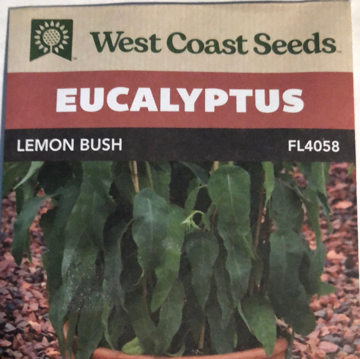 Seed Wc Eucalyptus Lemon Bush — Dutch Growers Regina