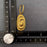 18K Gold Plated SS Conch Fossil Shape Huggie Earrings - FGS