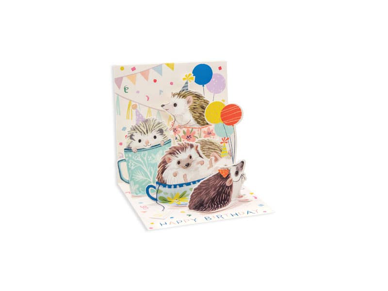 Hedgehog Mini Pop-up Birthday Card