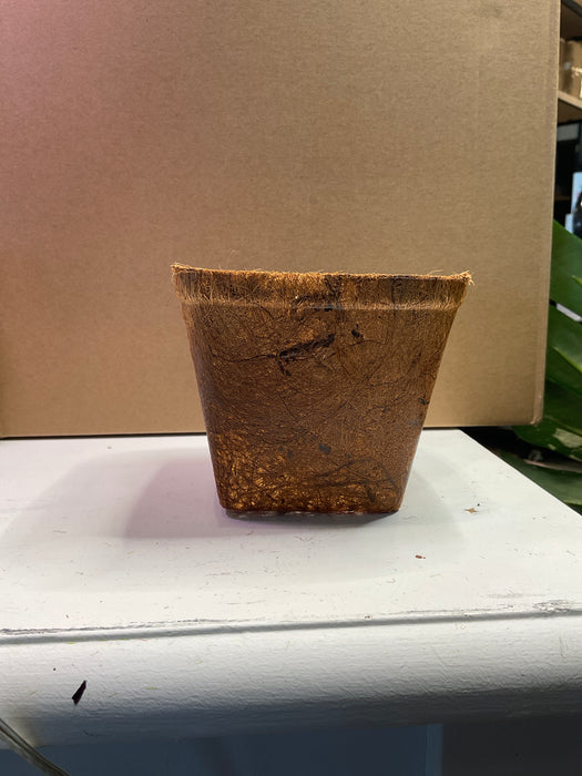 Coco Coir Pot 4.25" biodegradable
