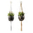 Seed & Sprout Let's Hang Macrame Plant Hanger