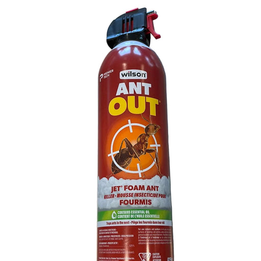 Ant Out Killer Foam 425 gm