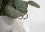 18K Gold PVD Stainless Steel Textured Twisted Huggie Hoop Earrings
