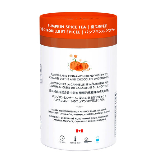 Pumpkin Spice Luxury Tea – 24 Pyramid Bags