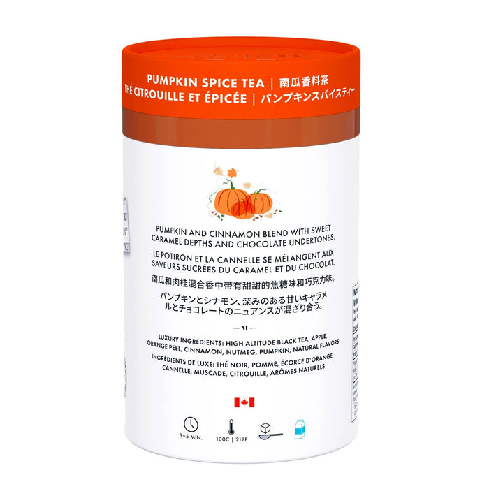 Pumpkin Spice Luxury Tea – 24 Pyramid Bags